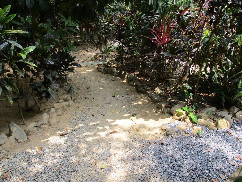 Khaosok Island Resort Khao Sok National Park Екстер'єр фото