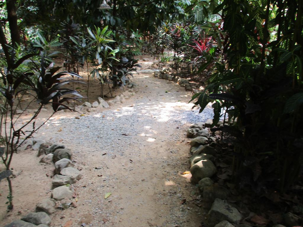 Khaosok Island Resort Khao Sok National Park Екстер'єр фото